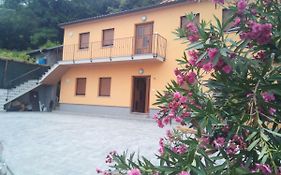 Apartmaji Matazin